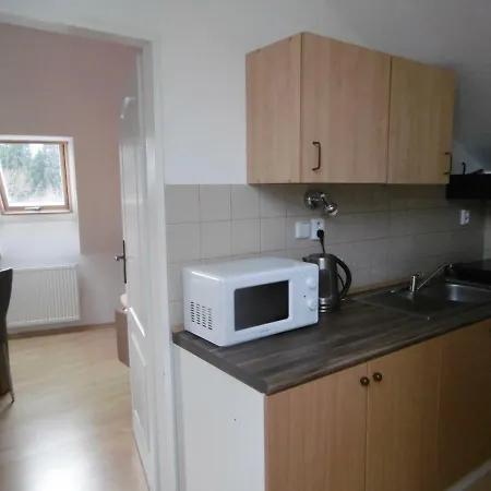 Privat 611 Apartment Harrachov